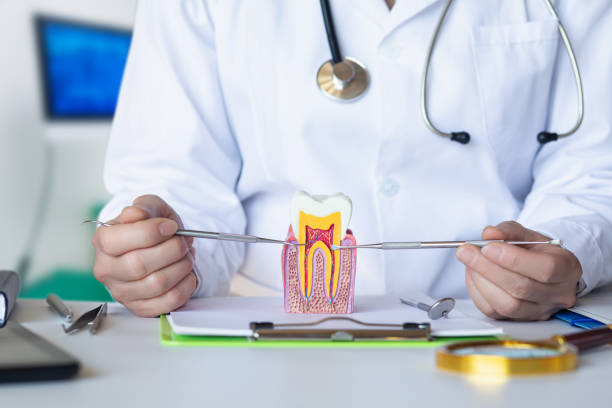 Best Emergency TMJ Treatment in Piedmont, AL